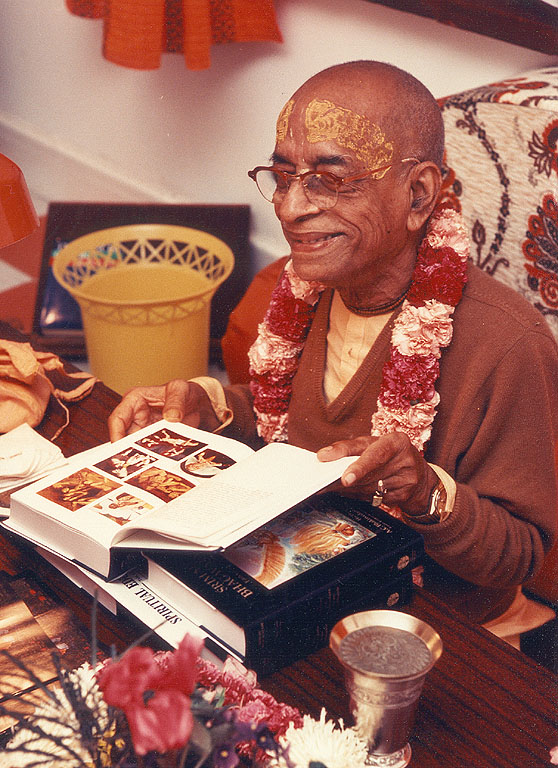 joburg-looking-at-sb